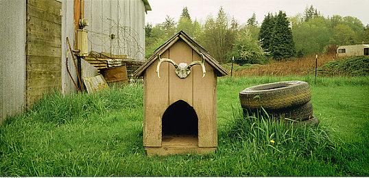 《异形：火力小队》第一赛季预告 免费添加Phalanx职业